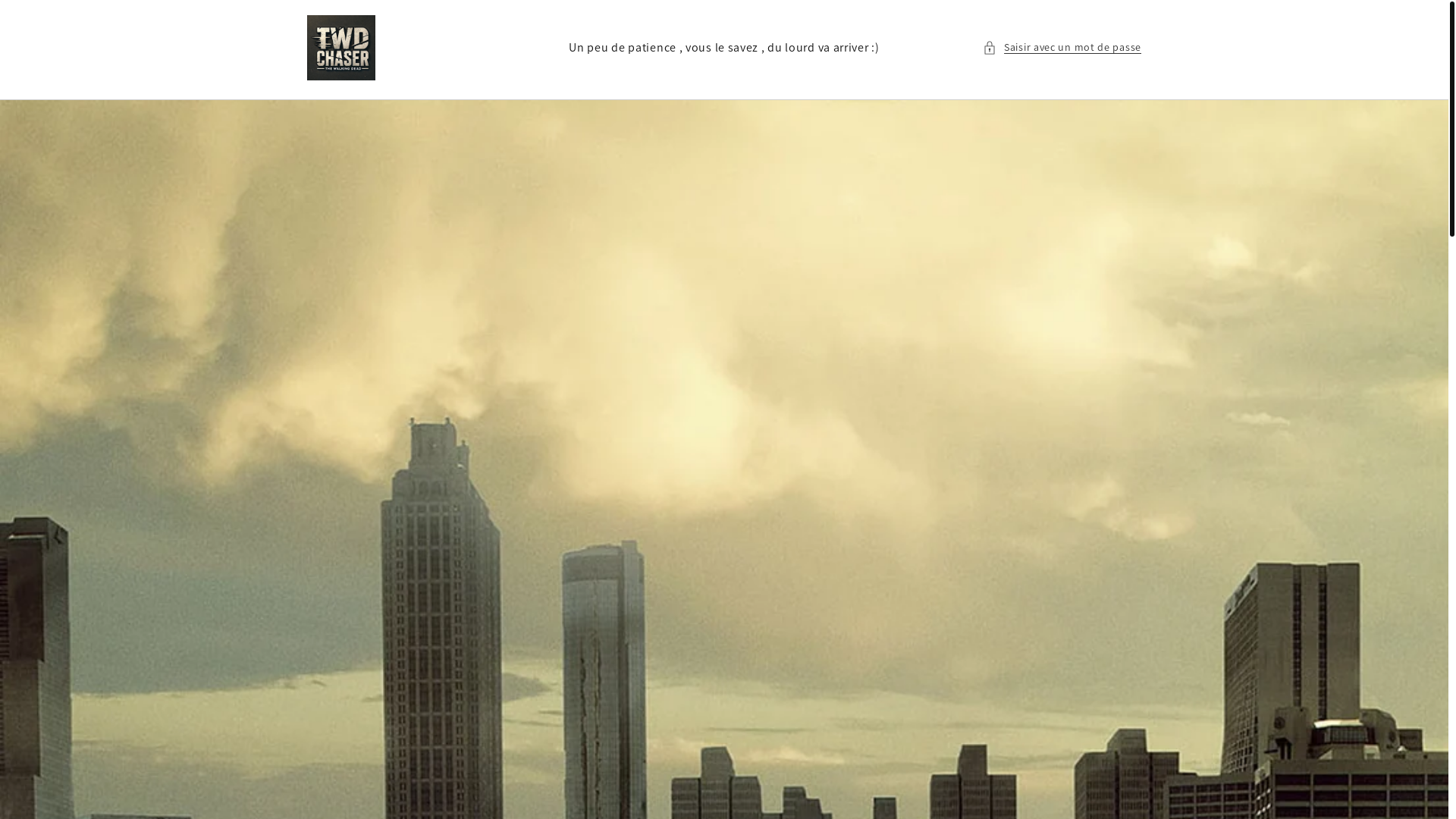 website screenshot of https://twdchaser.fr/