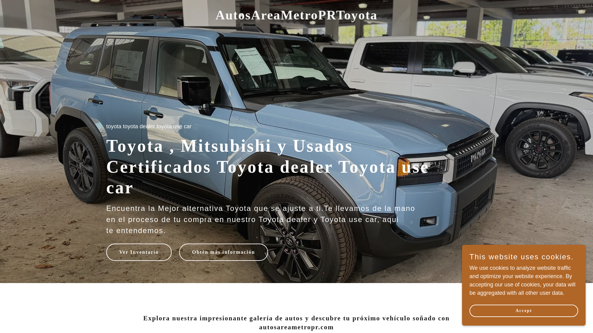 website screenshot of https://autosareametropr.com