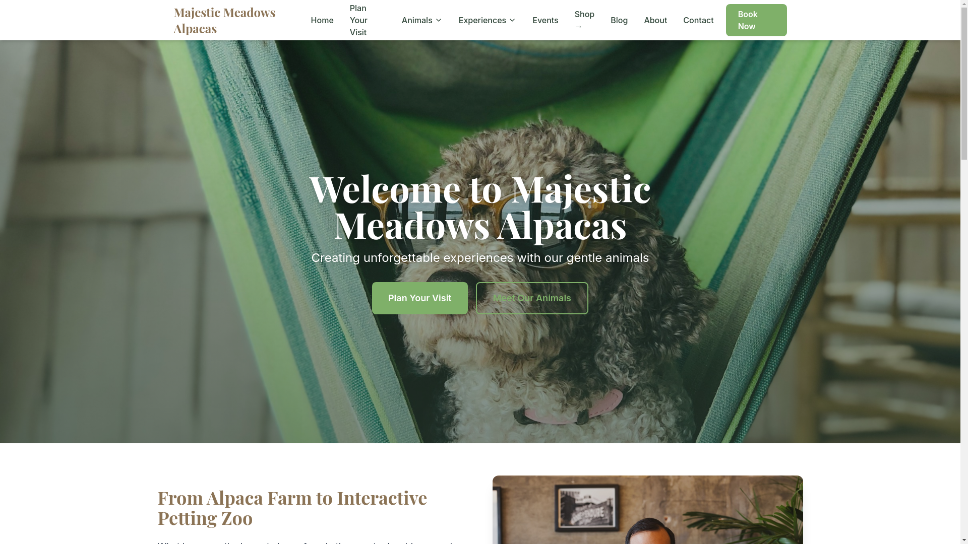 website screenshot of https://majestic-meadows-site.pages.dev/