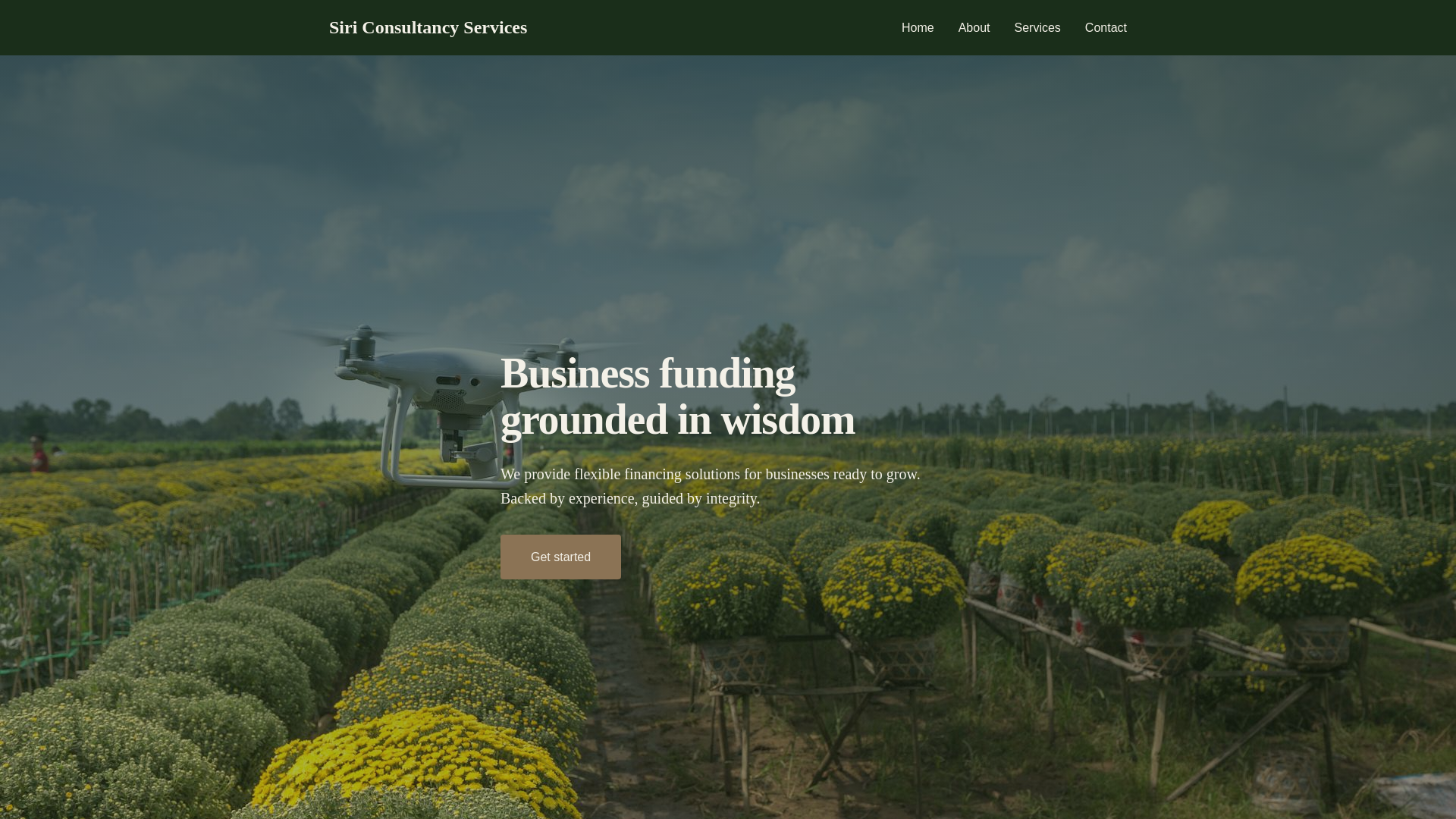 website screenshot of https://thesiriconsultancyservices.com