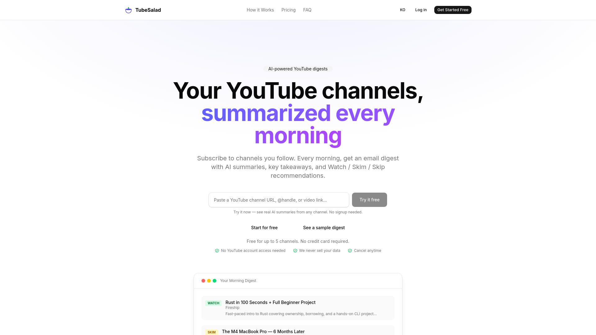 website screenshot of https://tubesalad.com/