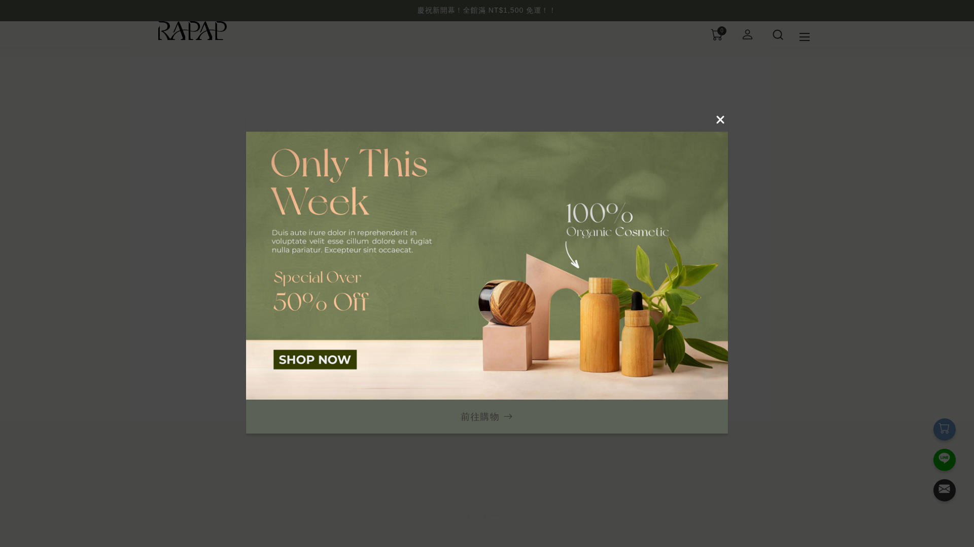 website screenshot of https://rapap.com.tw/