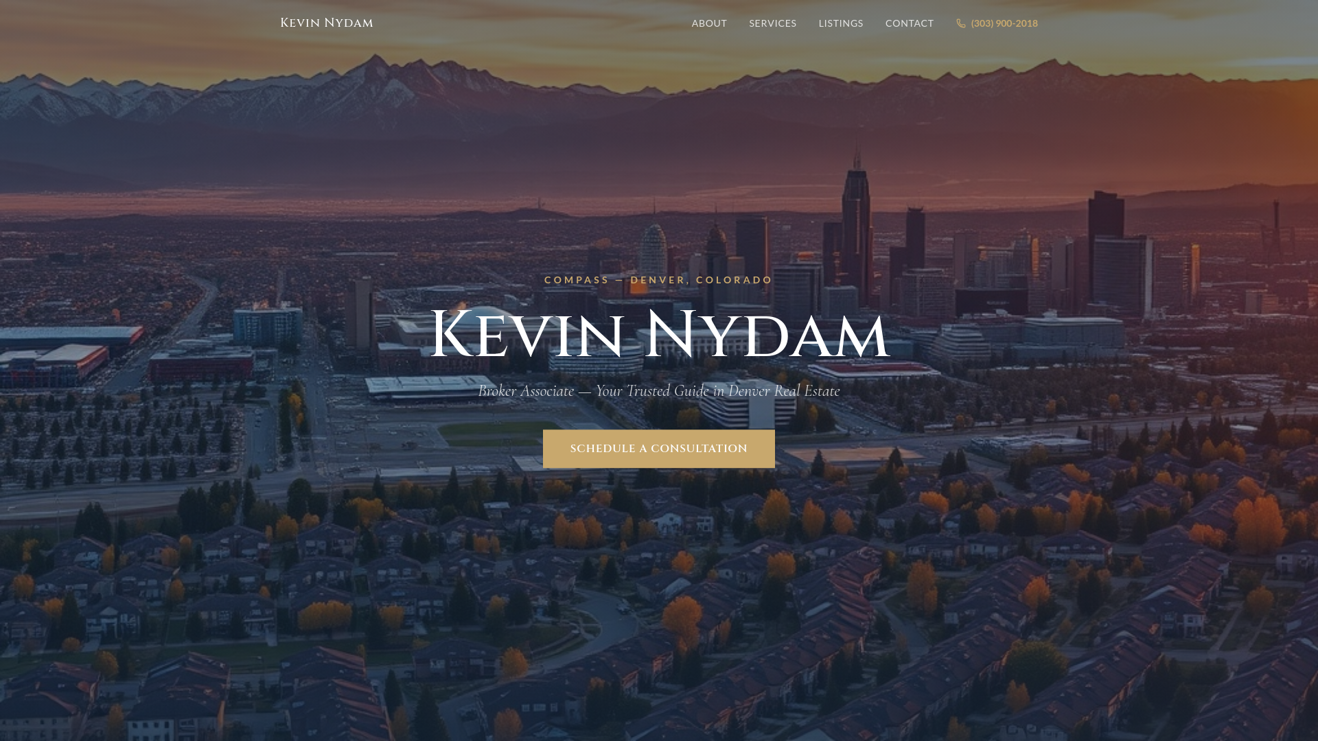 website screenshot of https://nydamhomes.com