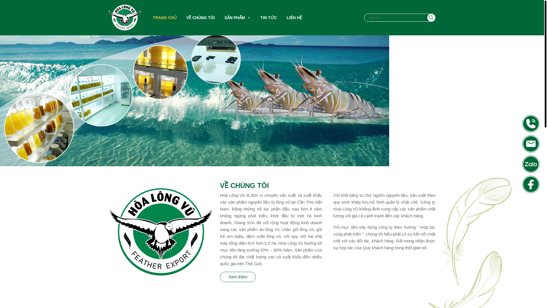 website screenshot of https://hoalongvu.vn/