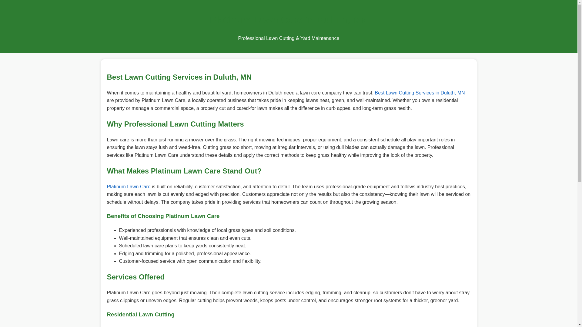 website screenshot of https://best-lawn-cutting-services-duluth-mn.pages.dev/
