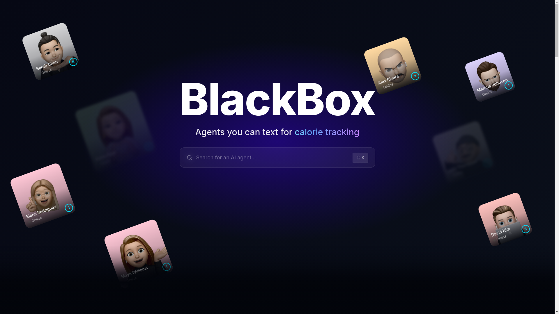 website screenshot of https://blackboxsms.com/