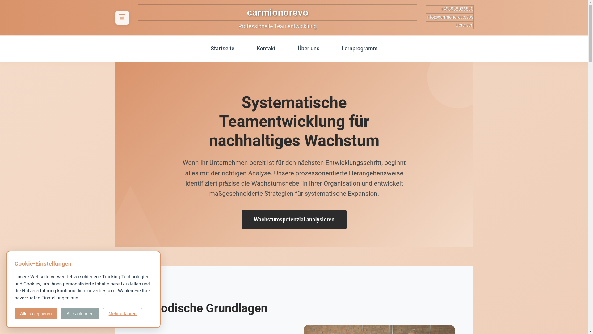 website screenshot of https://carmionorevo.sbs/