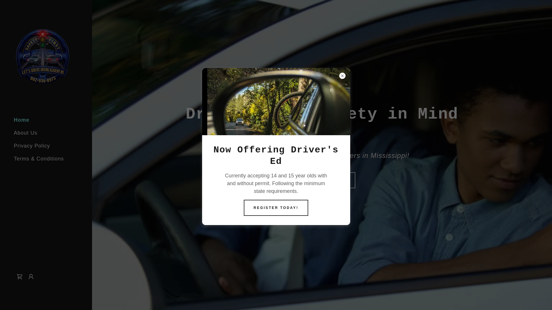website screenshot of https://letsdrivedrivingacademyms.org/