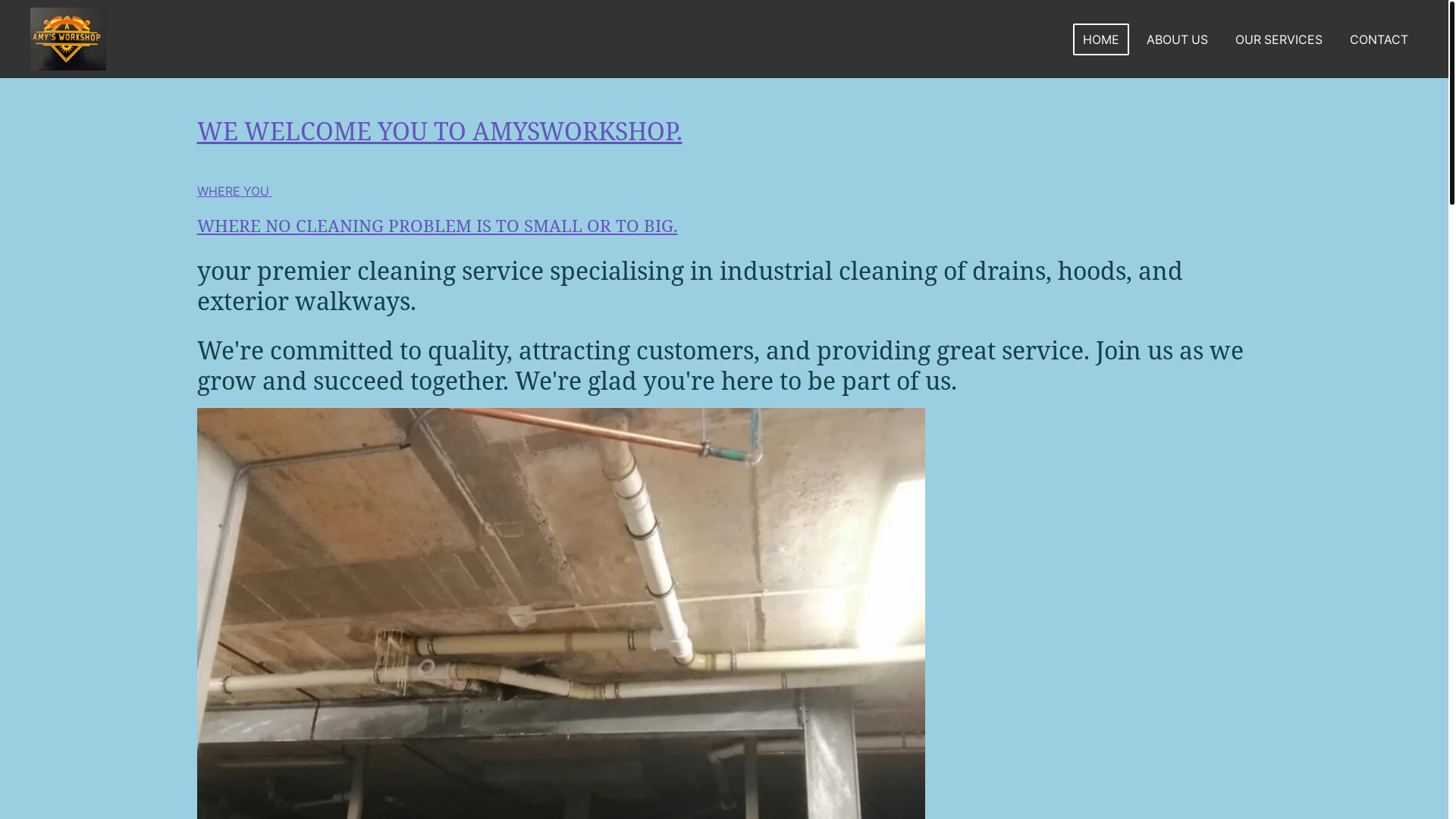 website screenshot of https://meticuindustrialcleaning.com/