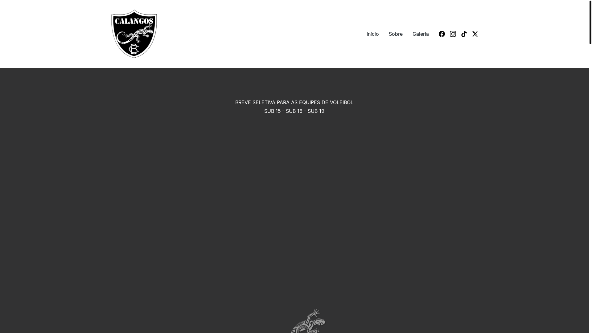 website screenshot of https://calangosrfc.com.br/