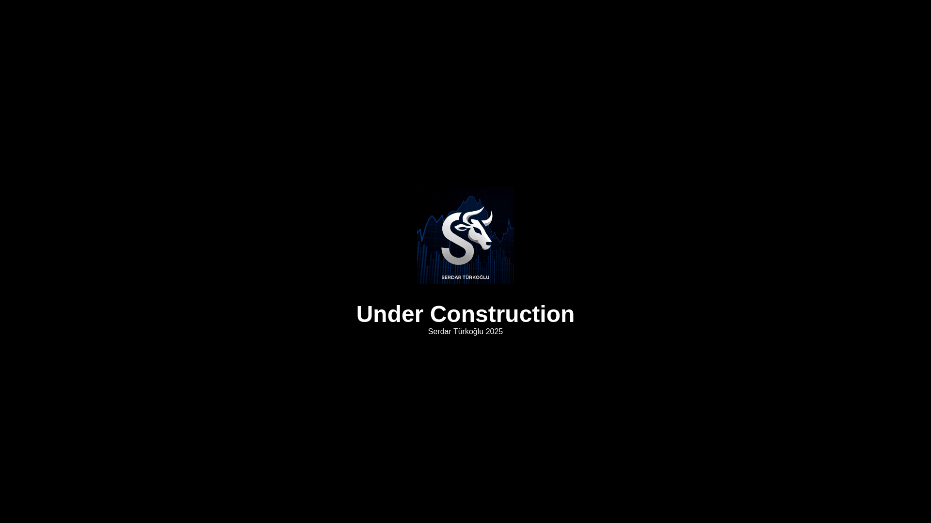 website screenshot of https://serdarturkoglu.com/