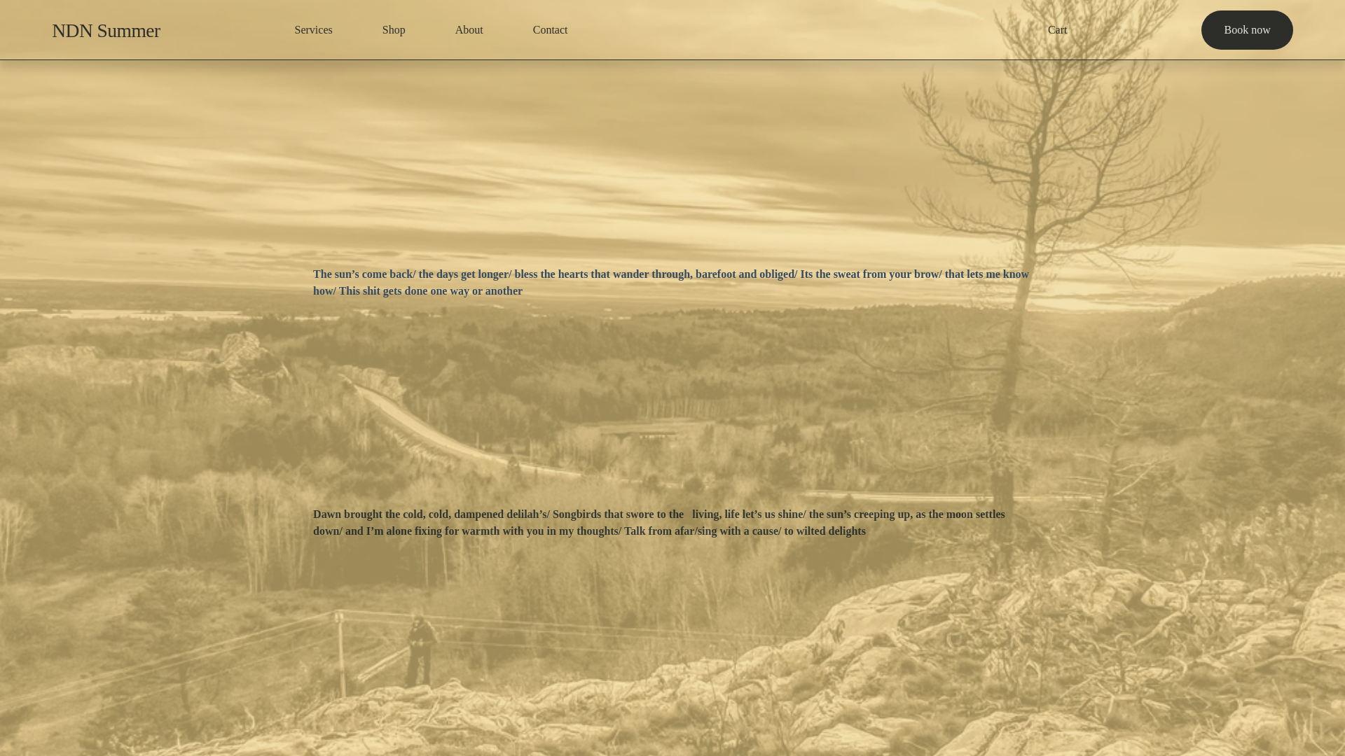 website screenshot of https://ndnsummer.org/