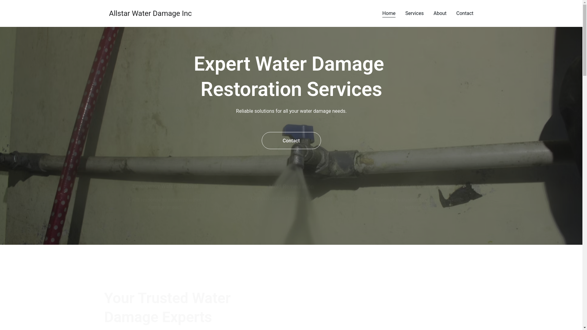 website screenshot of https://allstarwaterdamage.site/