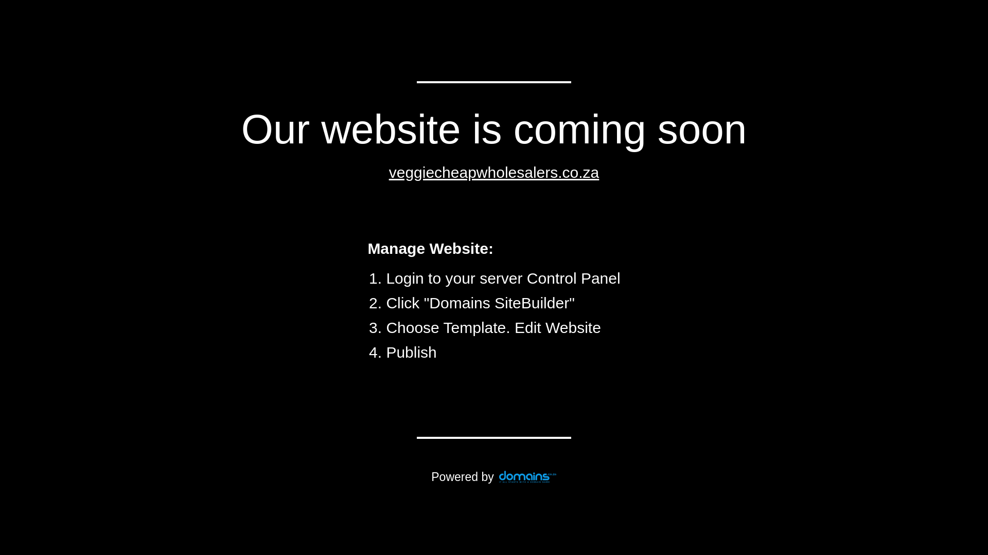 website screenshot of https://veggiecheapwholesalers.co.za/
