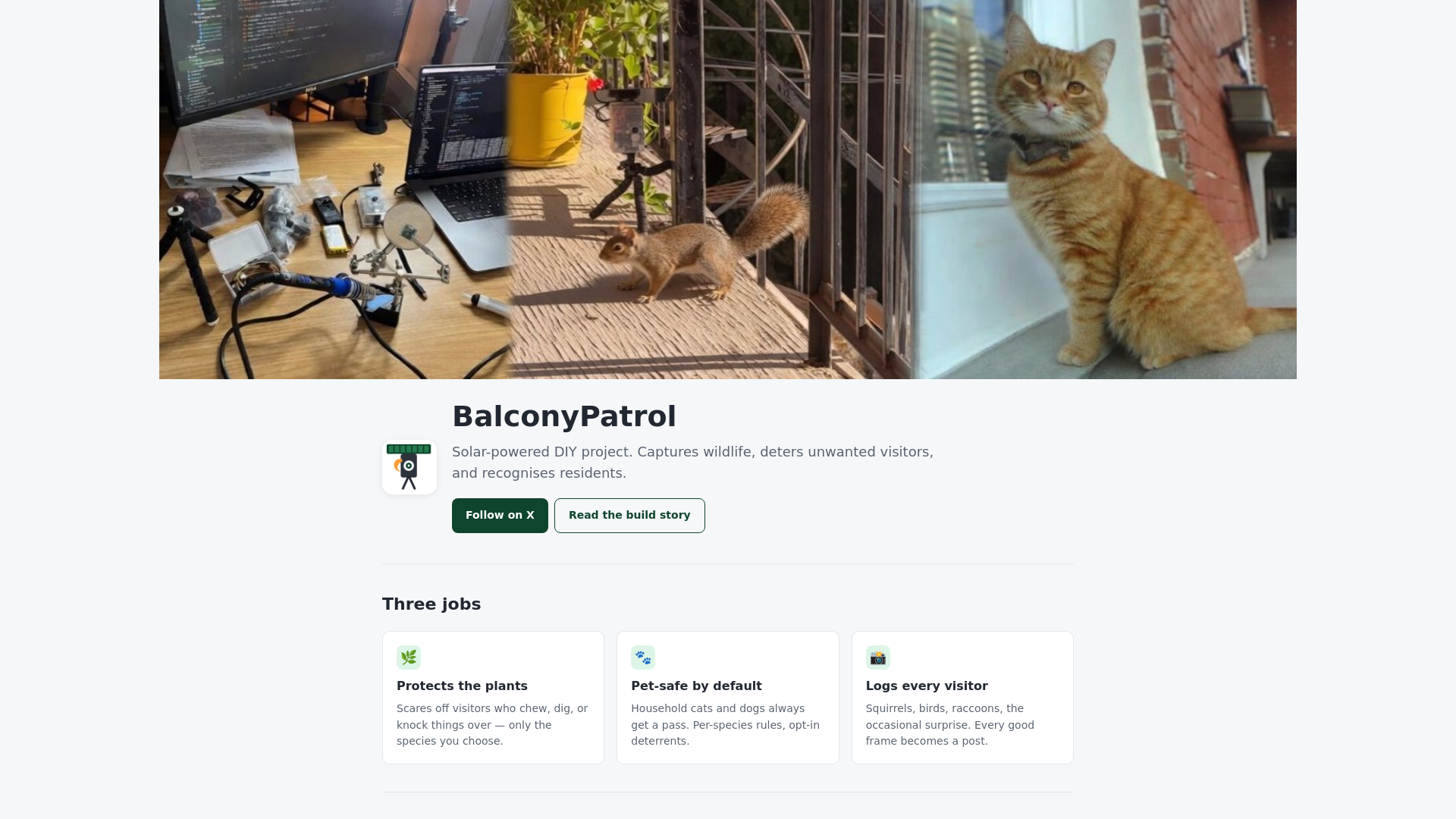 website screenshot of https://balconypatrol-com.pages.dev/