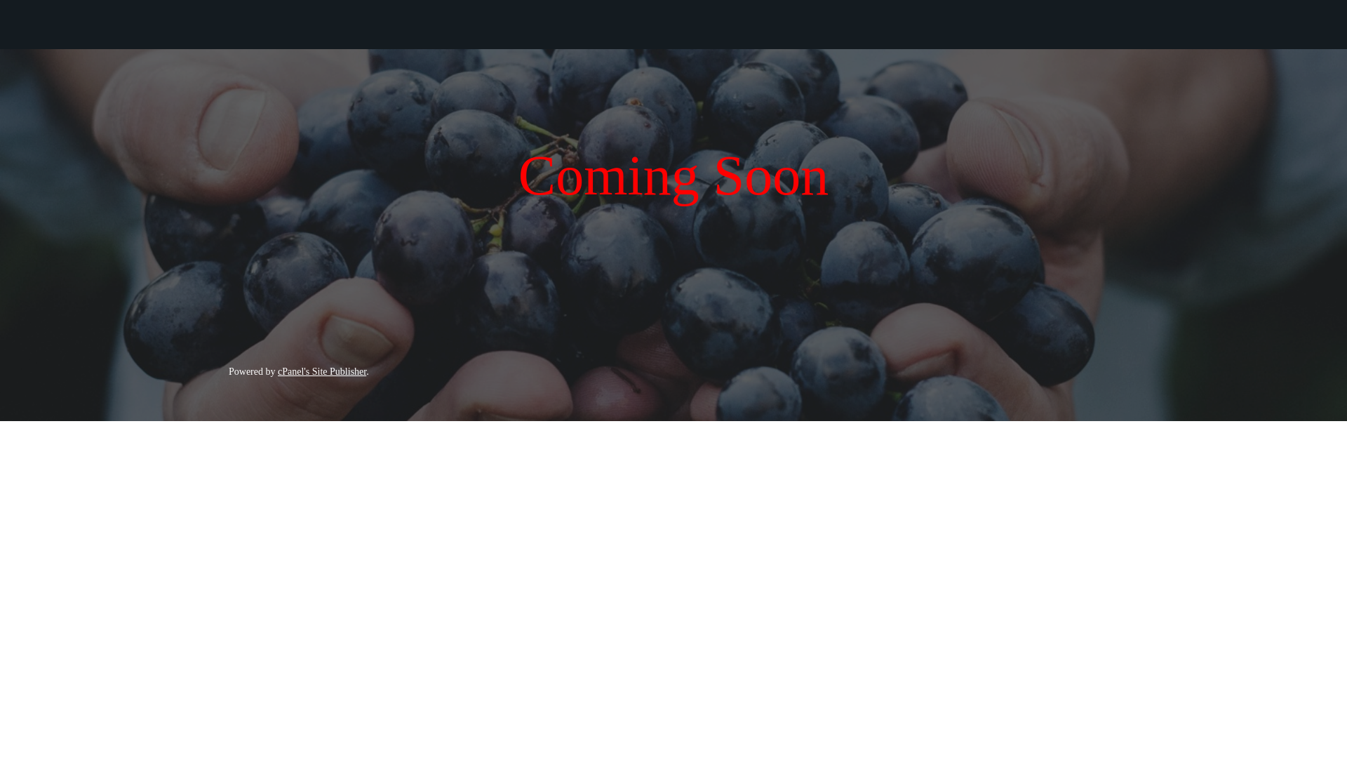 website screenshot of https://alquimiaomniversal.com/
