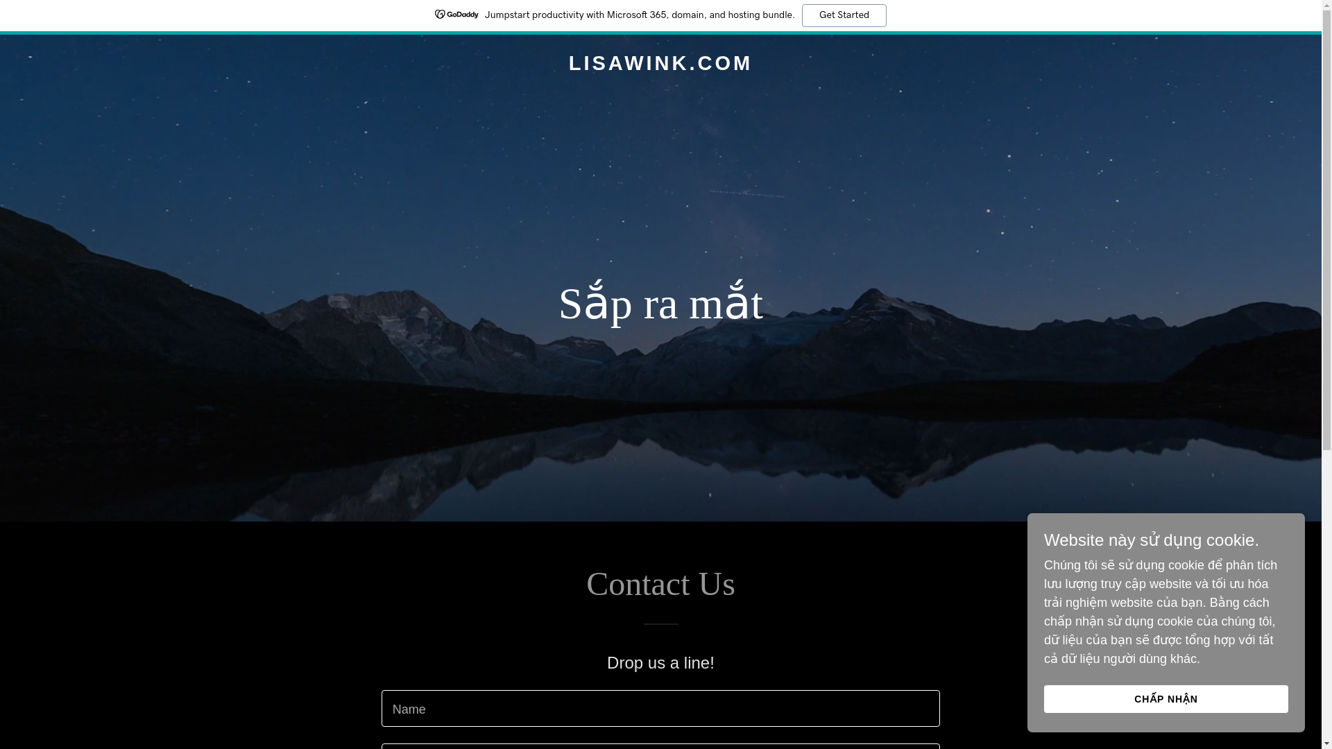website screenshot of https://lisawink.com/