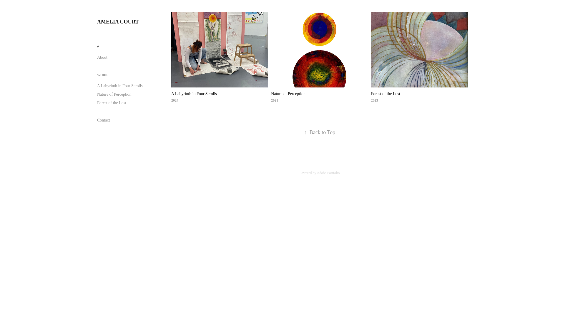 website screenshot of https://ameliacourt.co.uk/