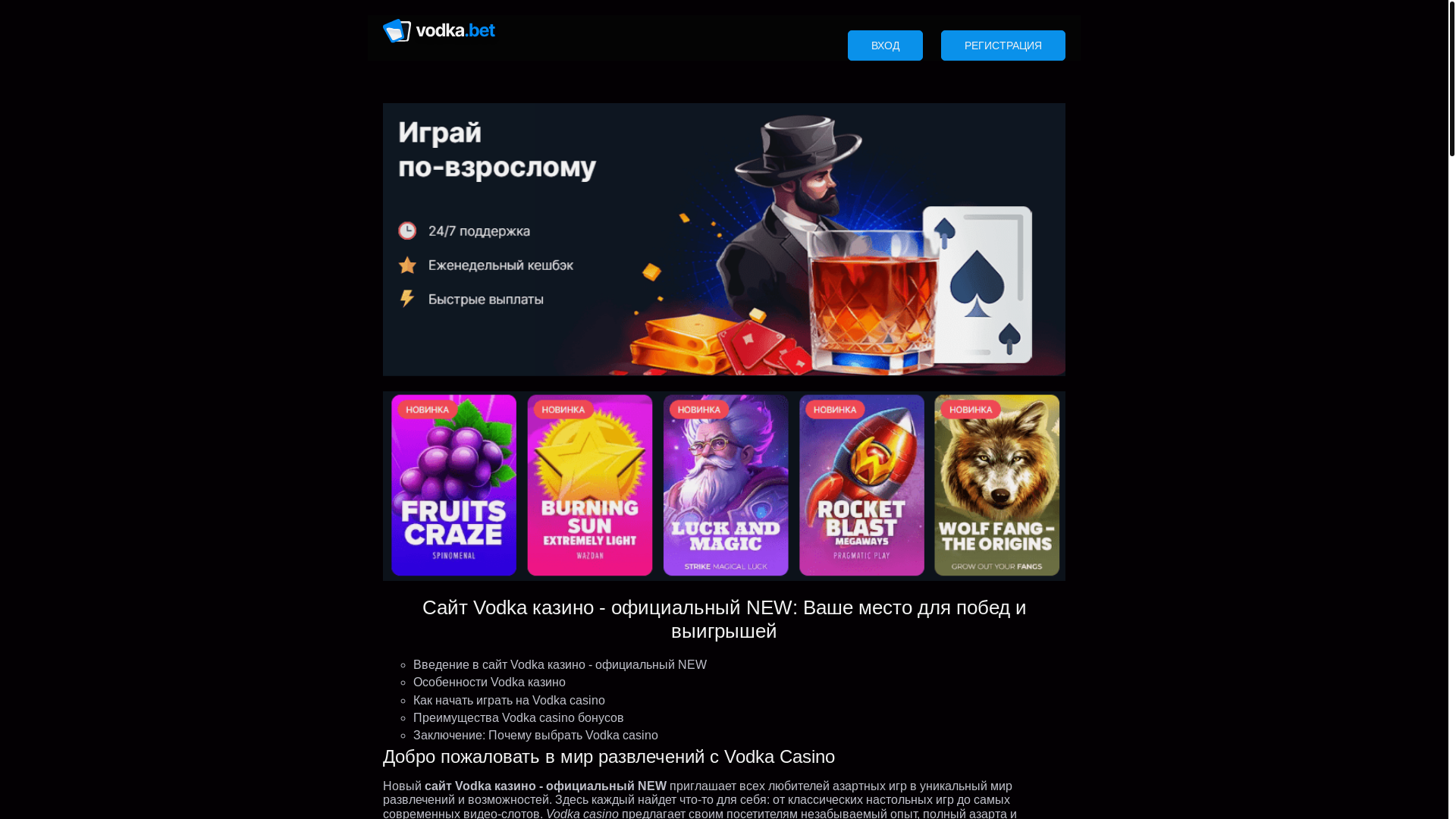 website screenshot of https://vodkacasino36504.website/