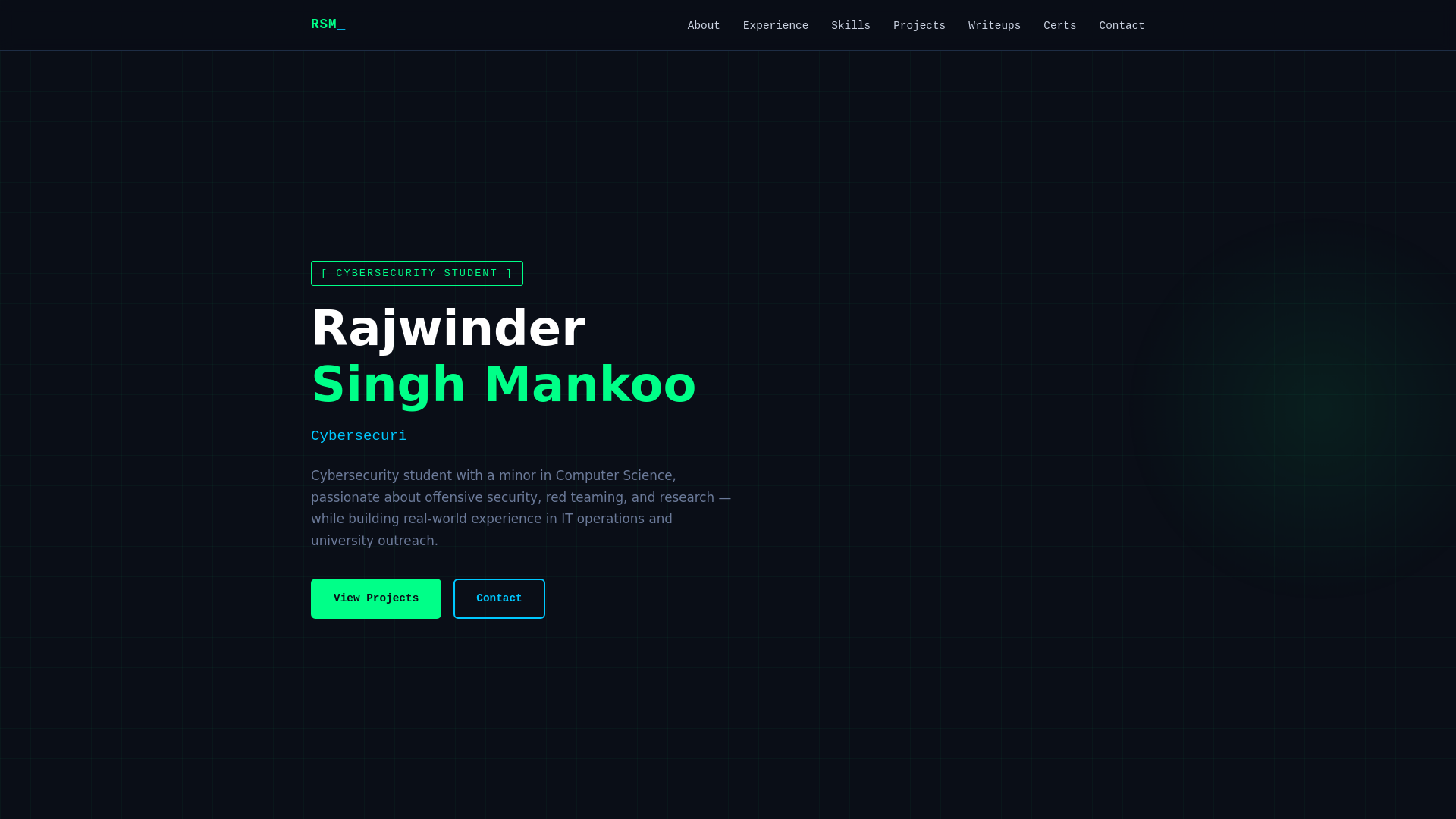website screenshot of https://rajwindersinghmankoo.dev/