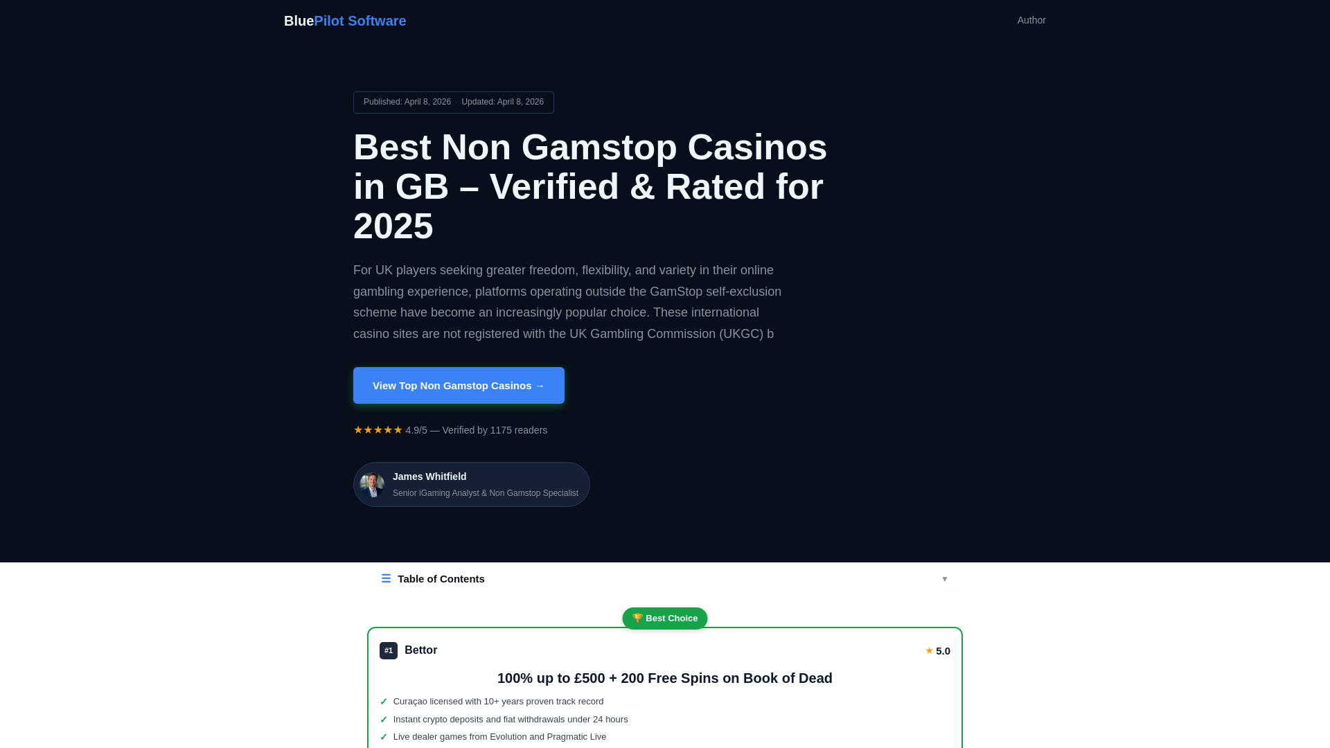 website screenshot of https://bluepilotsoftware-com.pages.dev/