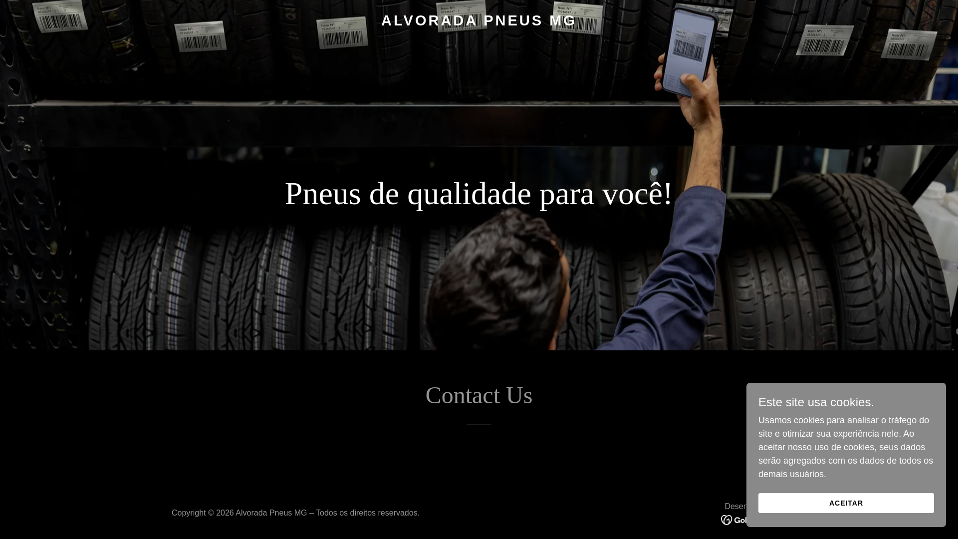 website screenshot of https://alvoradapneusmg.com/