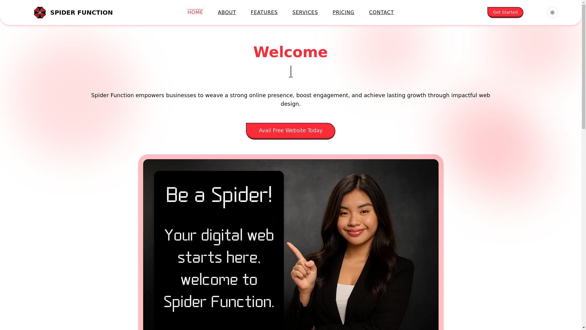 website screenshot of https://spiderfunction.com/