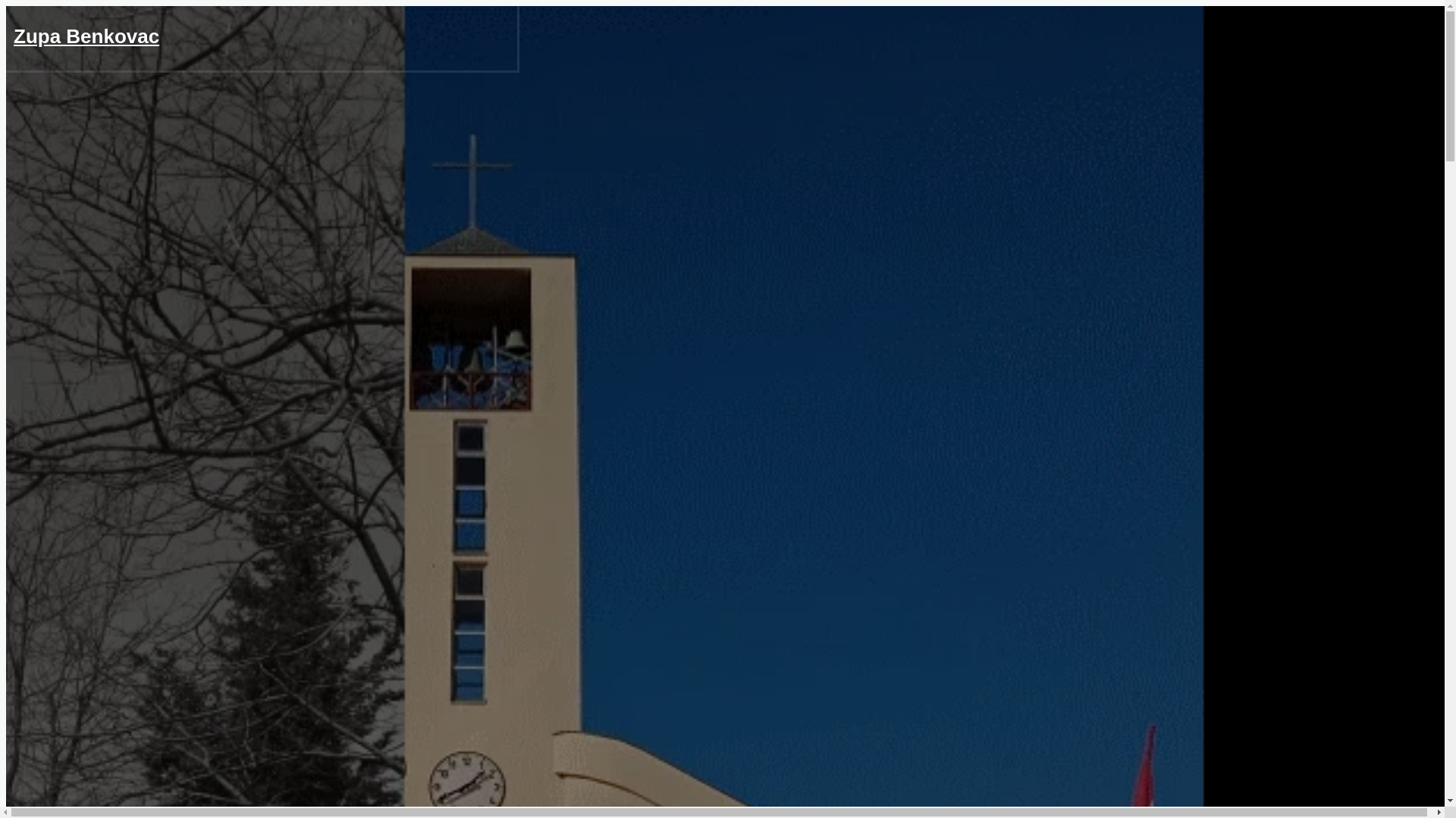 website screenshot of https://zupabenkovac.org/