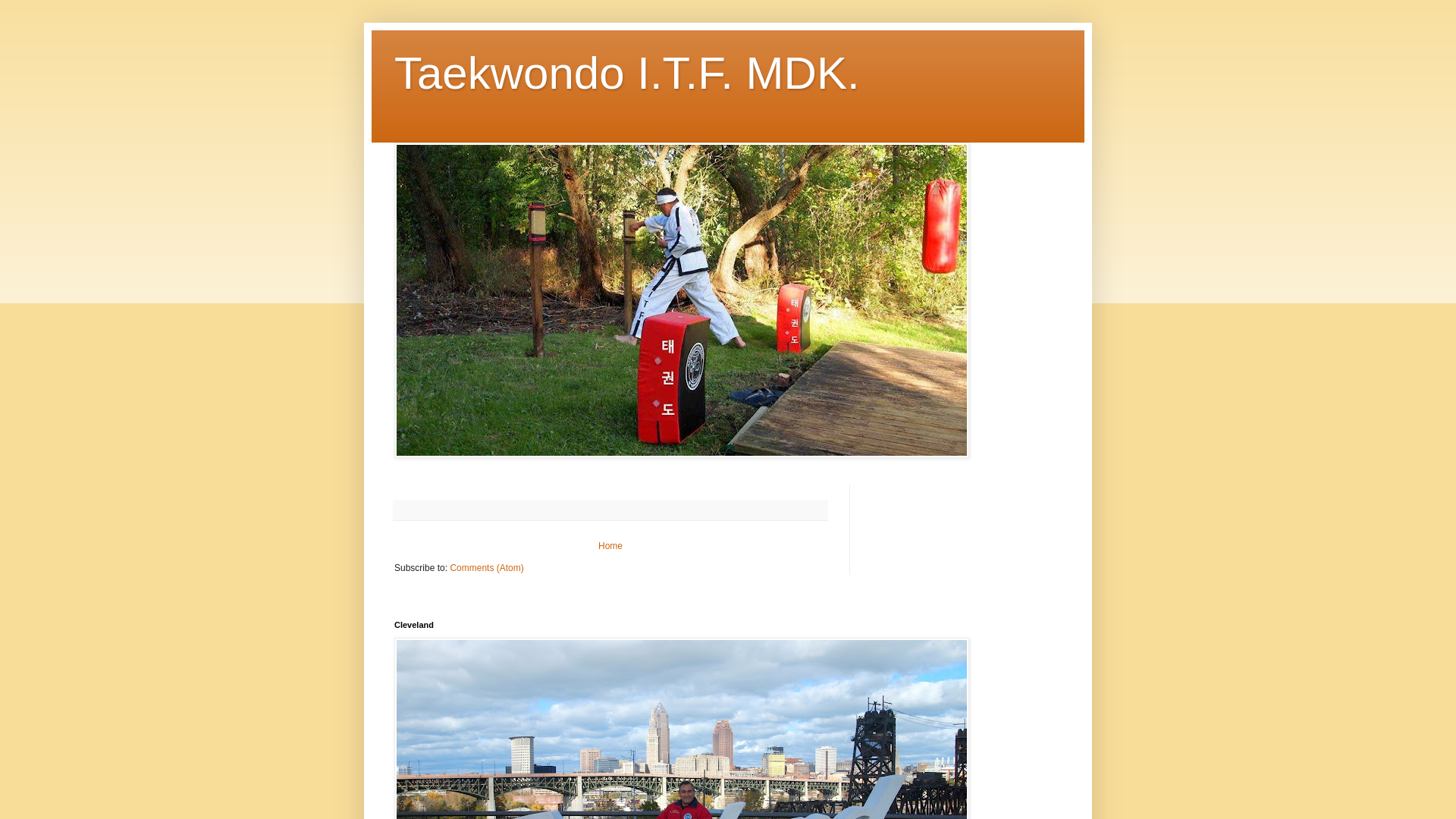 website screenshot of https://itfmdk.com/