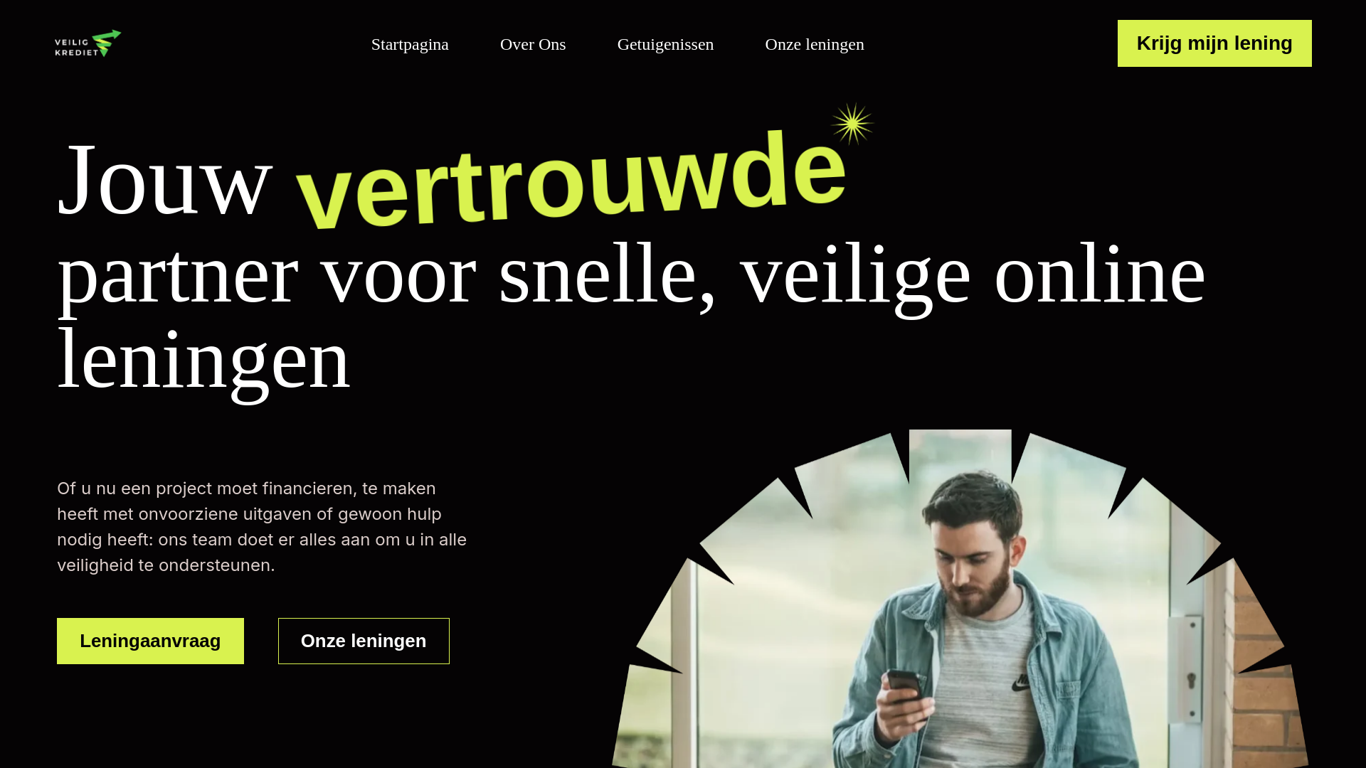 website screenshot of http://veiligkredietnl.com