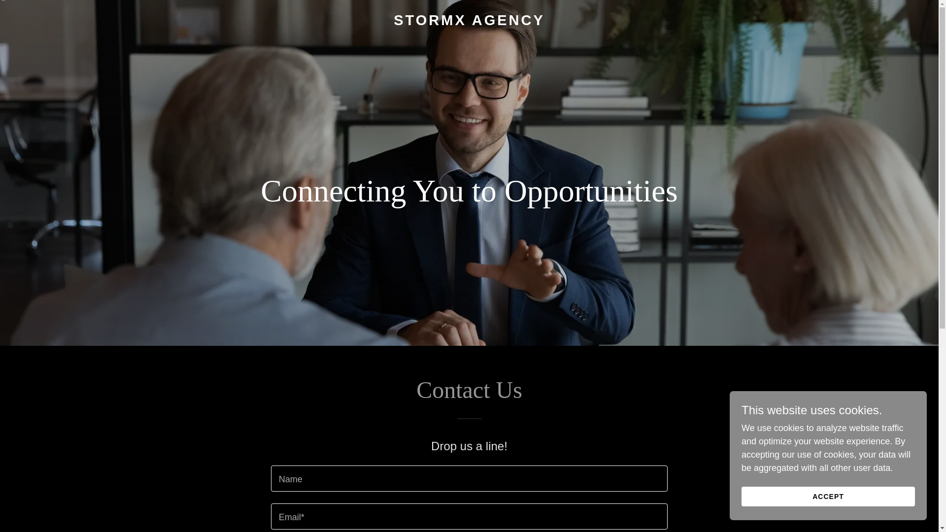 website screenshot of https://stormxagency.com/
