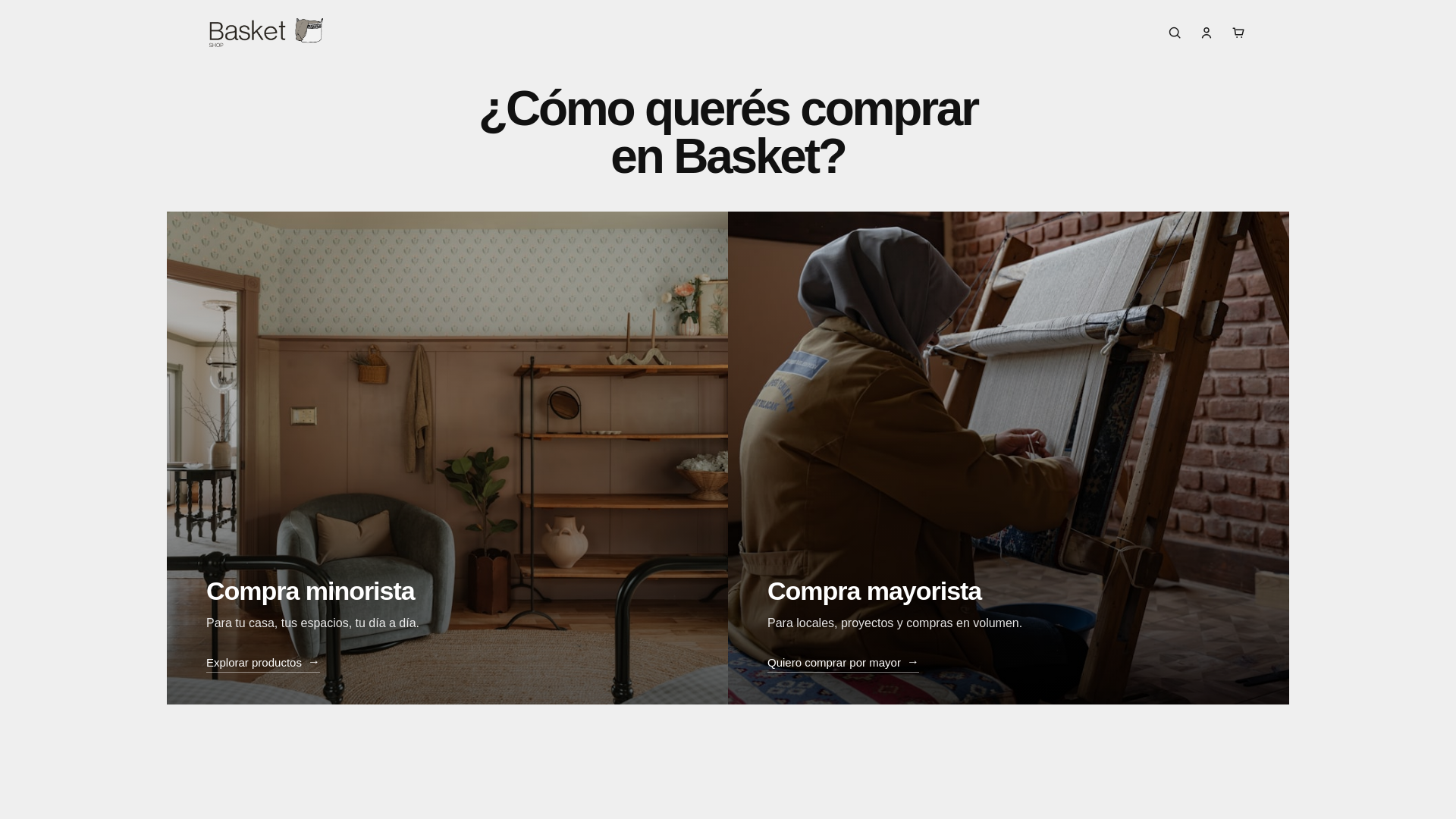 website screenshot of https://basketshop.com.ar