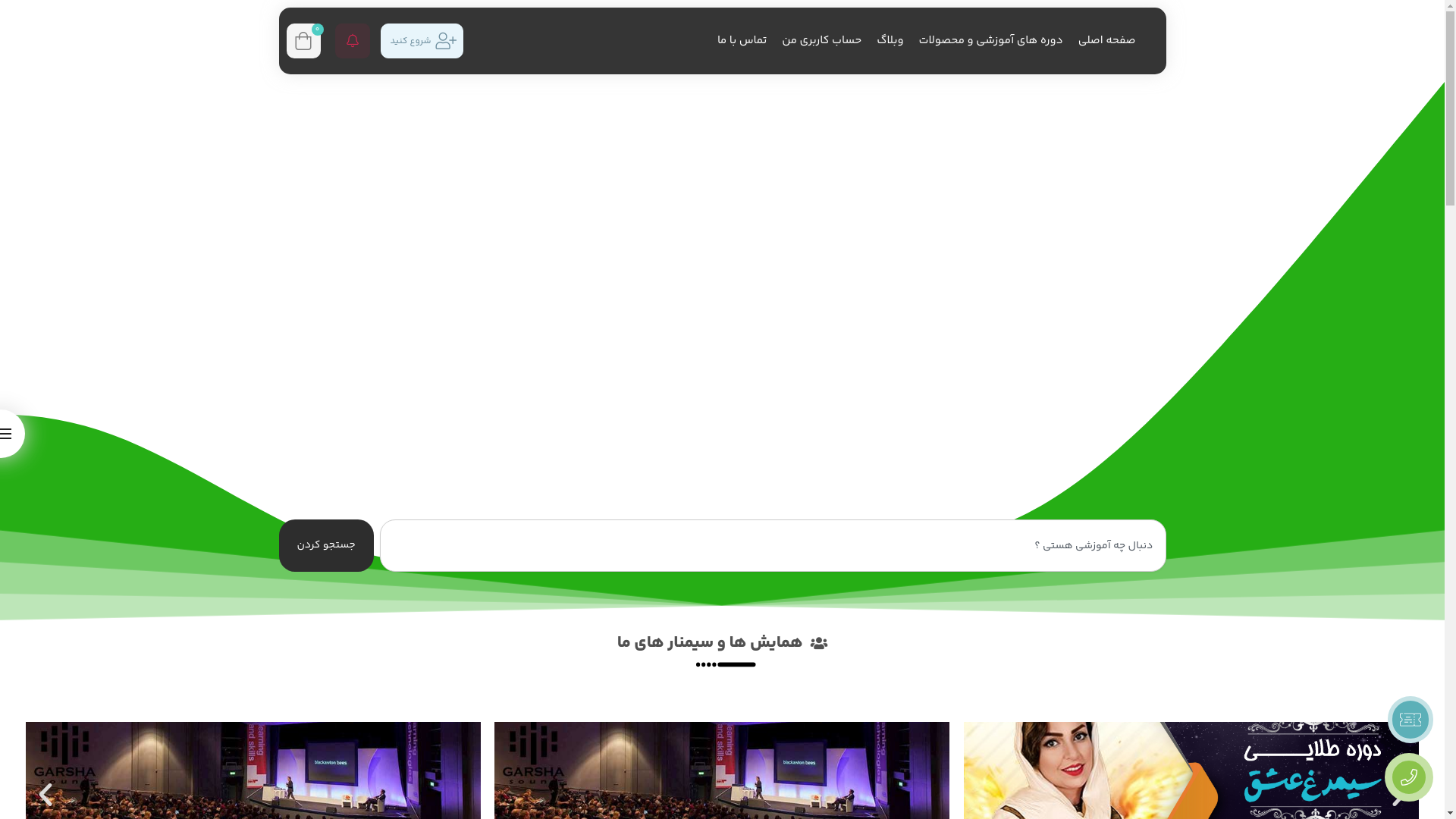 website screenshot of https://farazhamayesh.com/