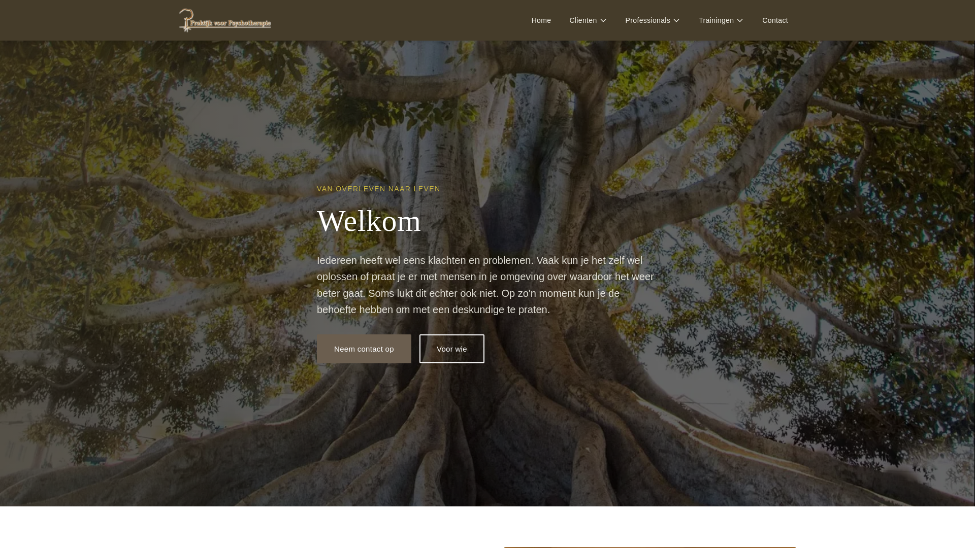 website screenshot of https://praktijk-voor-psychotherapie-schapendonk-van-horne-website.pages.dev/
