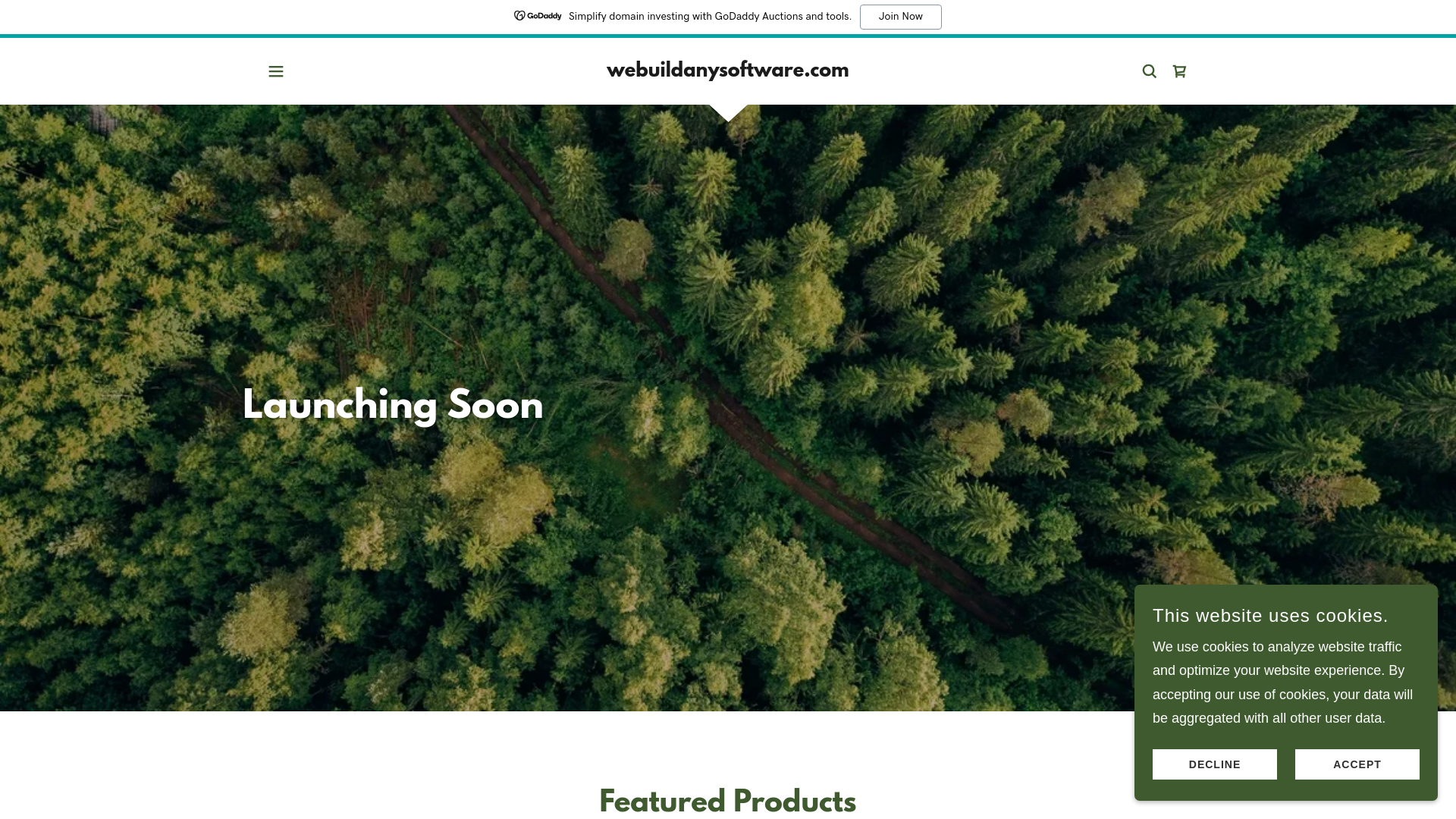 website screenshot of https://webuildanysoftware.com/