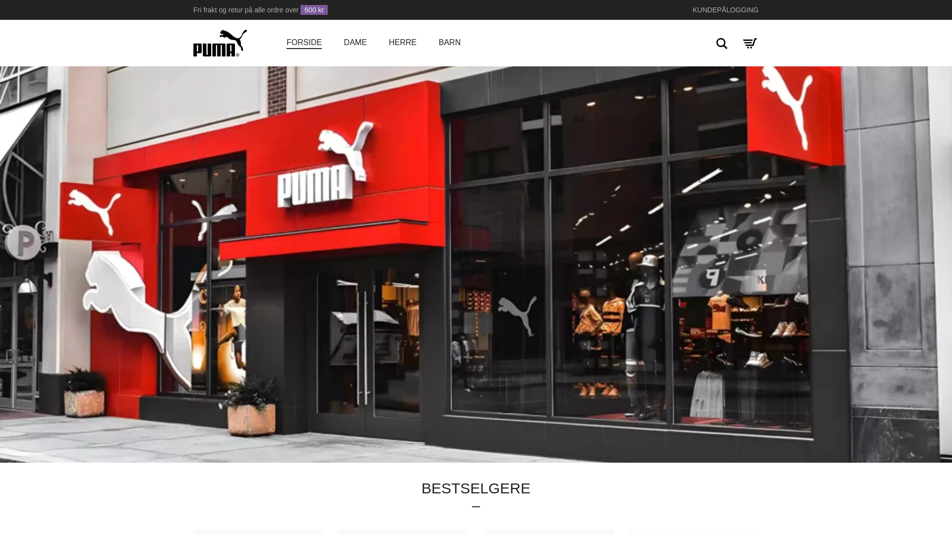 website screenshot of https://pumasko-norge.com