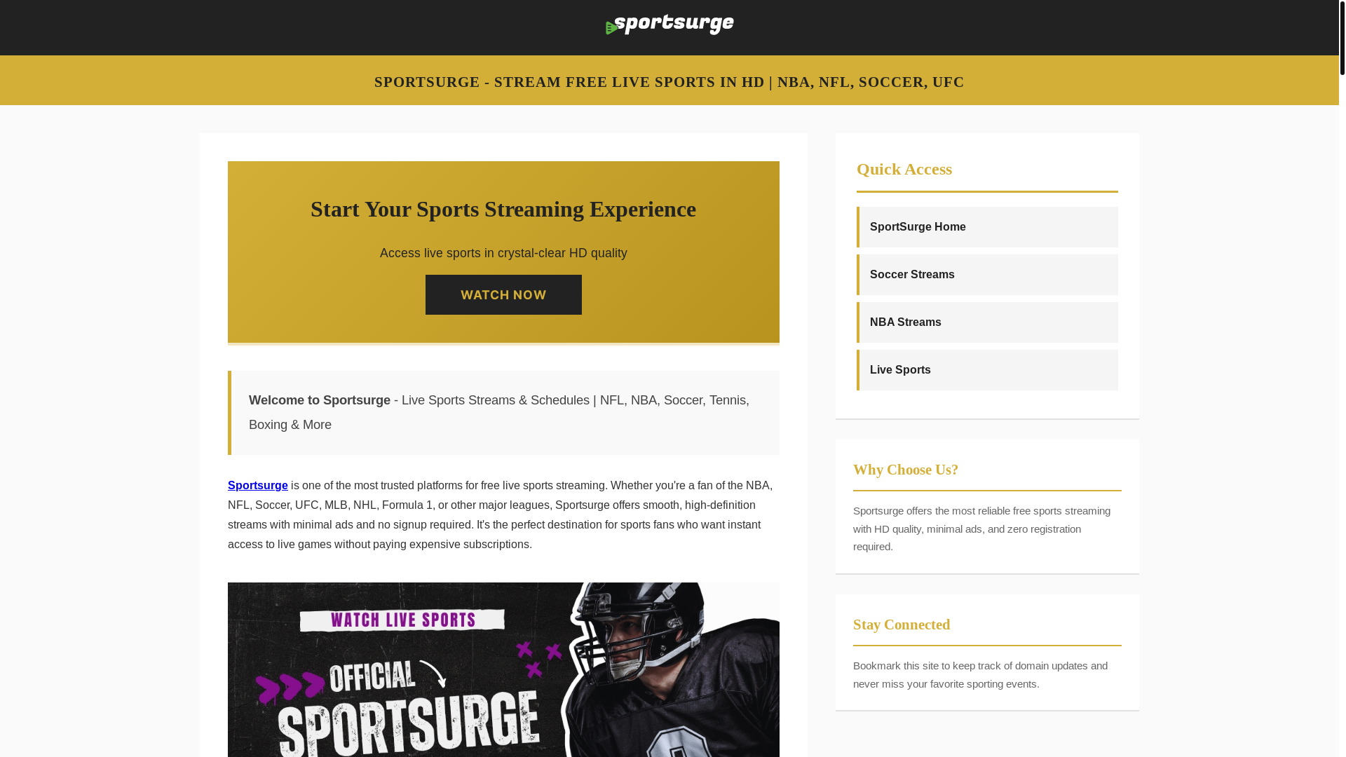 website screenshot of https://sportsurge-24tv-pics.pages.dev/