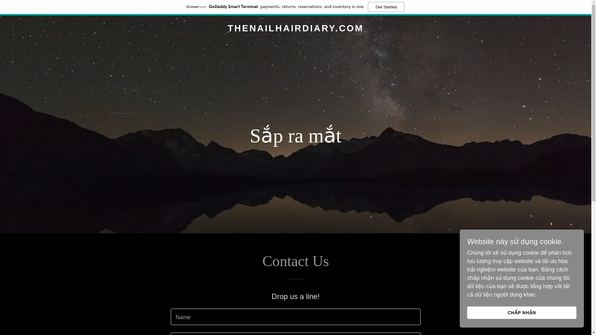 website screenshot of https://thenailhairdiary.com/