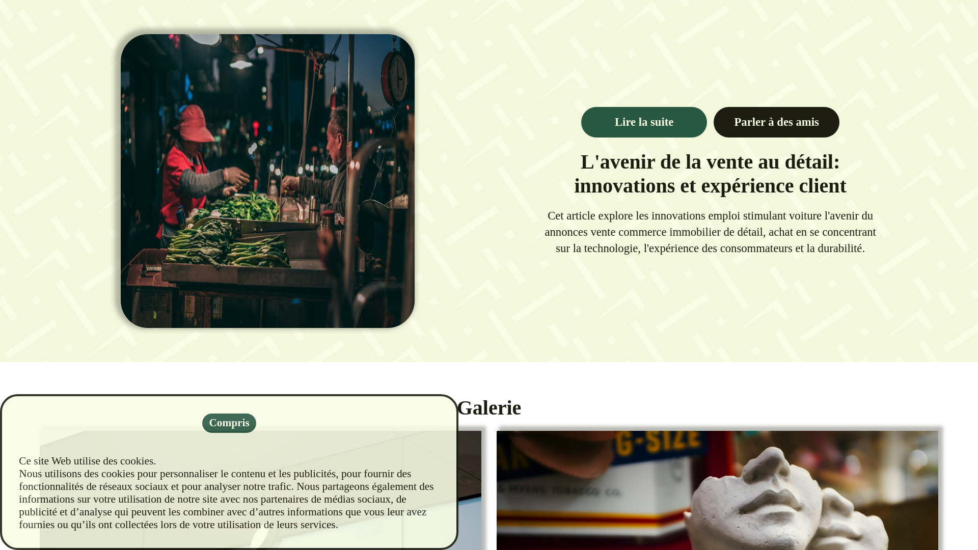 website screenshot of https://compte-assistance-fr.su/