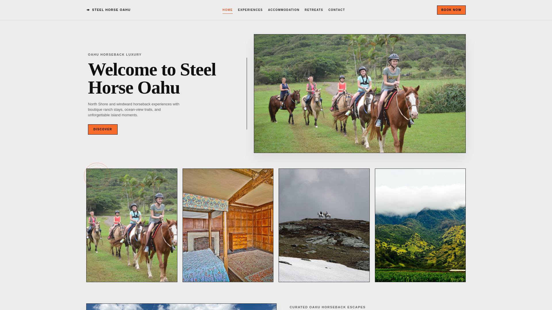 website screenshot of https://demo-steelhorseoahu.pages.dev/