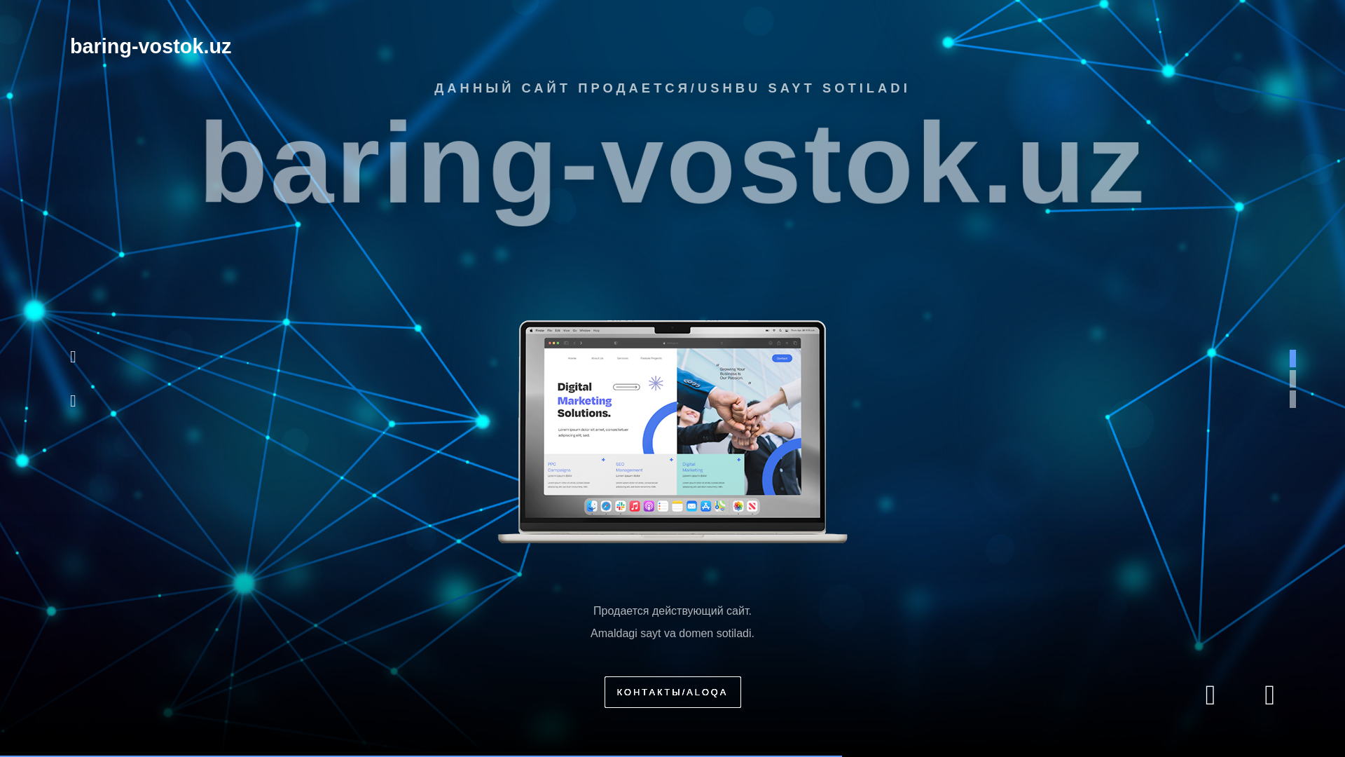 website screenshot of https://baring-vostok.uz/
