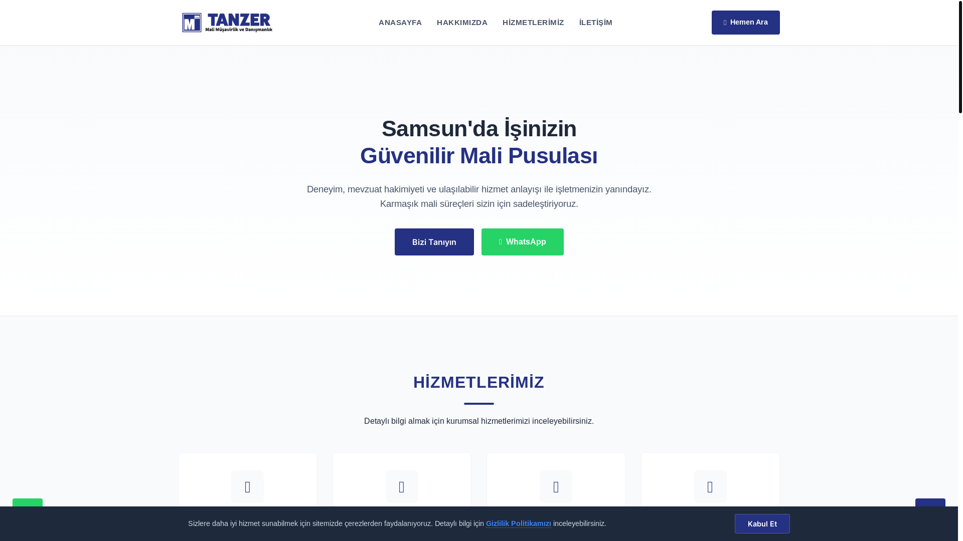website screenshot of https://tanzermalimusavirlik.com/