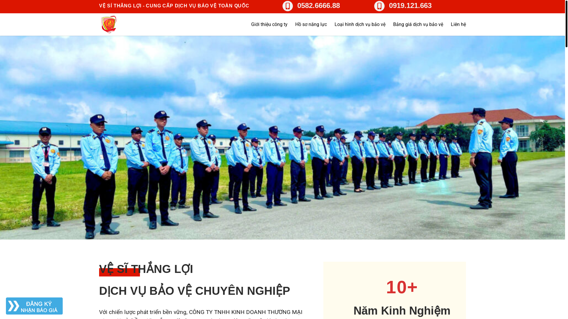 website screenshot of https://congtybaove.online/