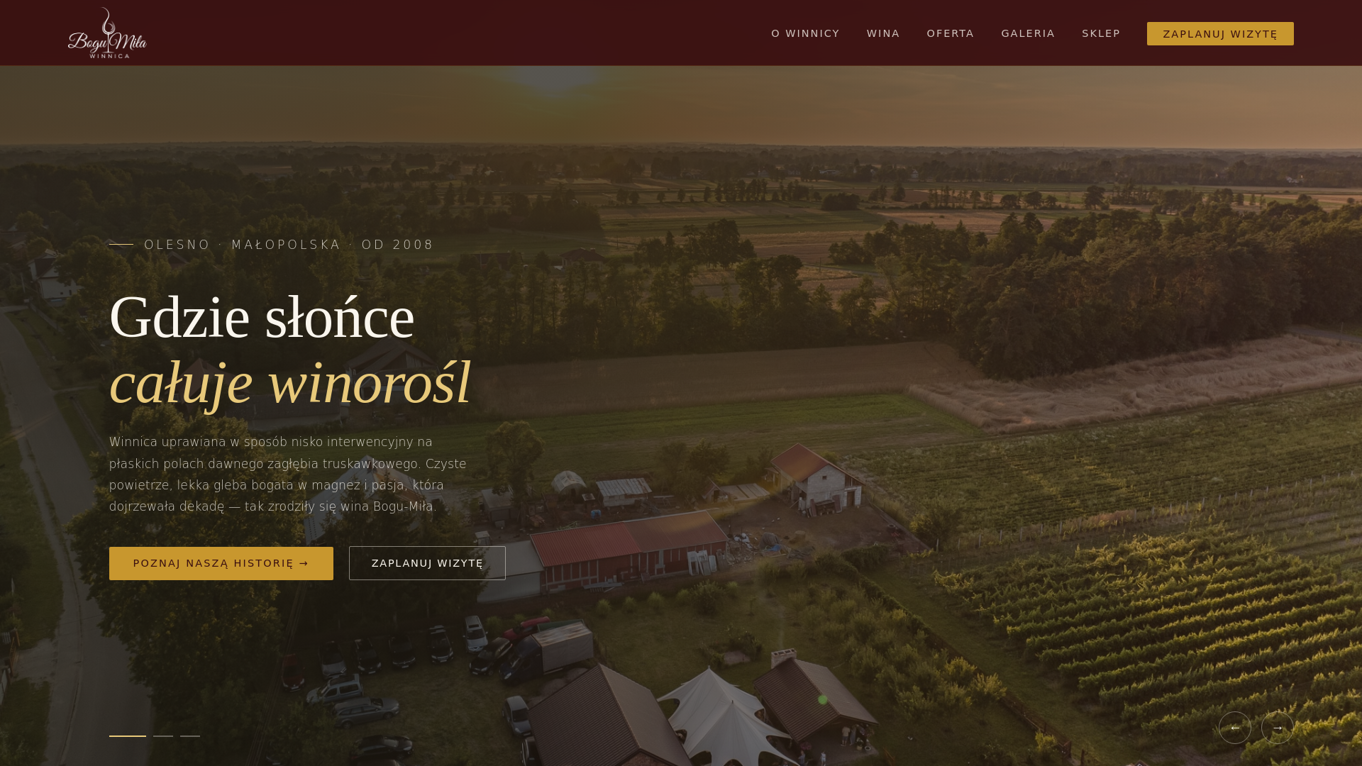 website screenshot of https://winnicabogumila.pl/