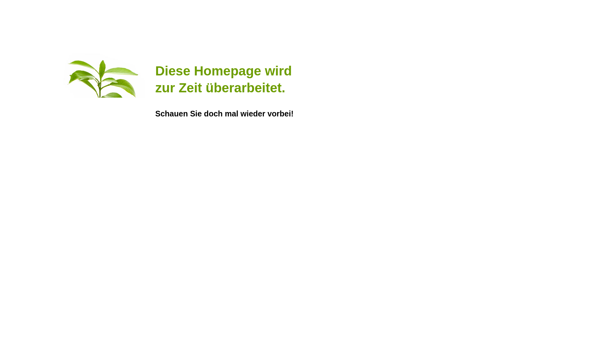 website screenshot of https://alltags-begleiter.info/