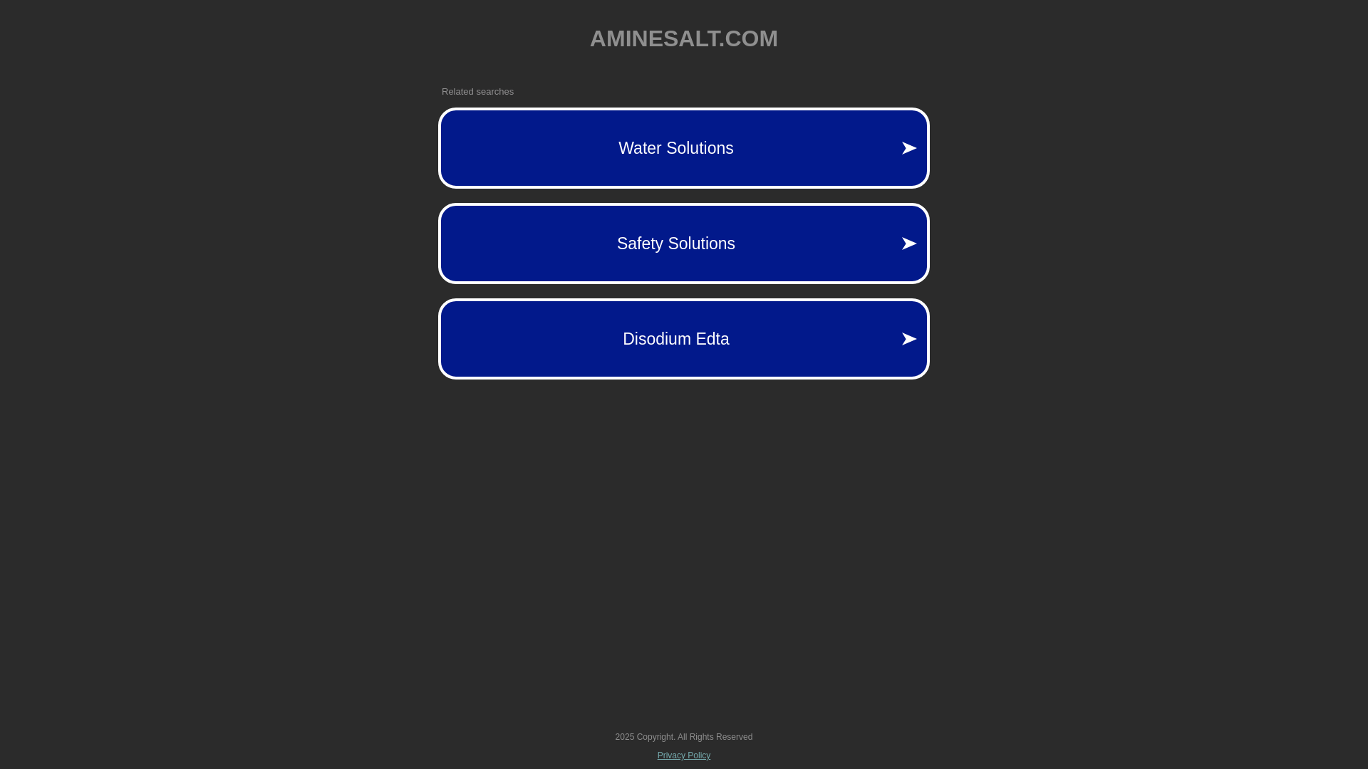 website screenshot of https://aminesalt.com/