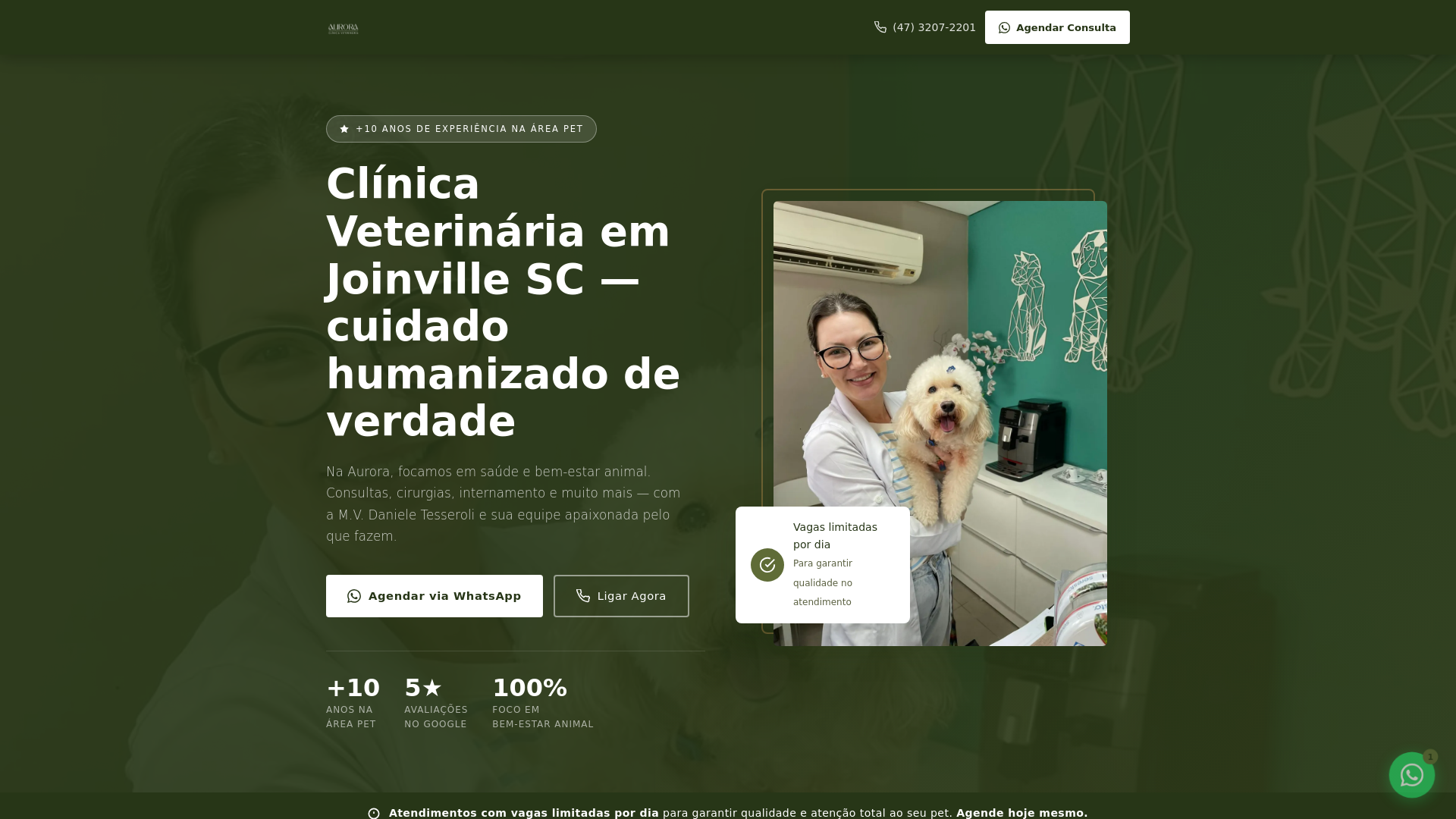 website screenshot of https://auroravet.com.br/