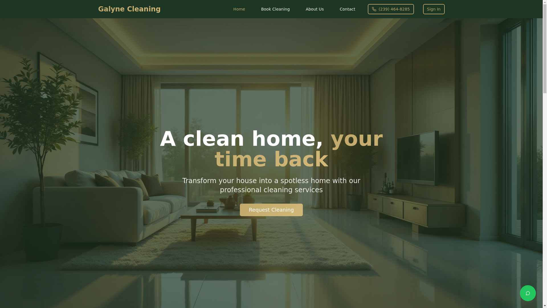 website screenshot of https://galynecleaning.com/