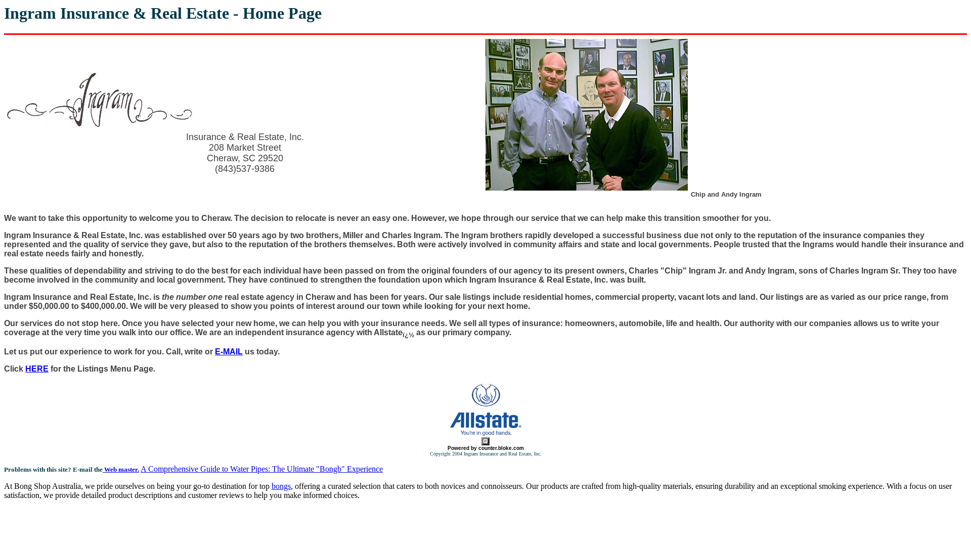 website screenshot of https://ingraminsuranceandrealestate.pages.dev/