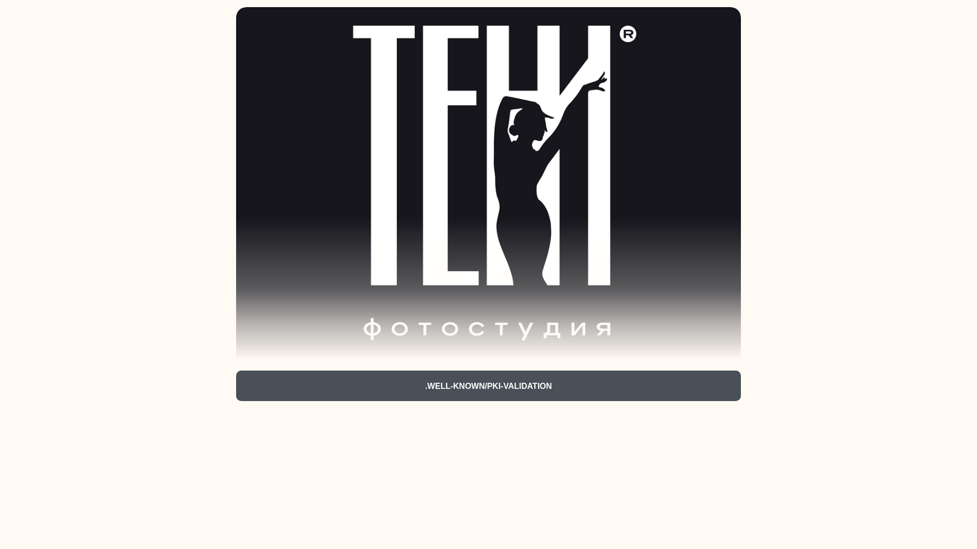 website screenshot of https://studioteni.ru